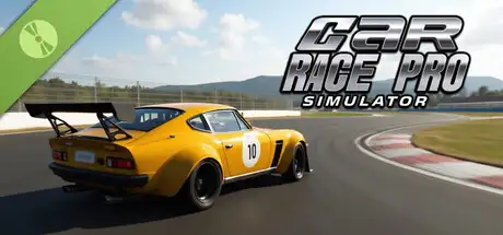 Car Race Pro Simulator Demo